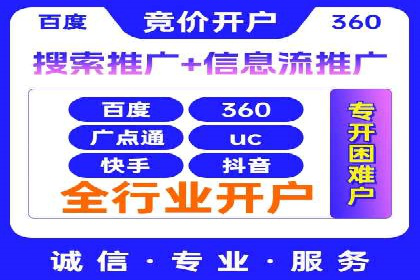 大型SEM服务公司案例分析